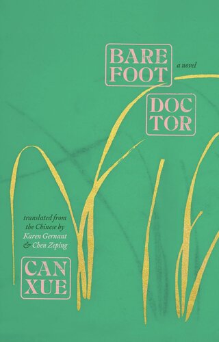 Barefoot Doctor: A Novel