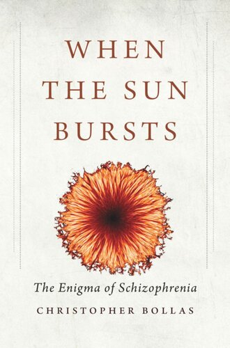 When the Sun Bursts: The Enigma of Schizophrenia