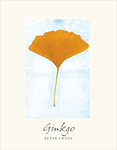 Ginkgo: The Tree That Time Forgot