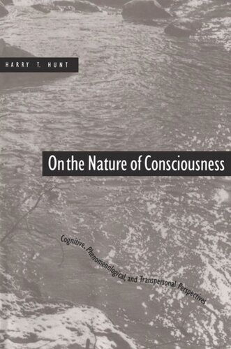 On the Nature of Consciousness
