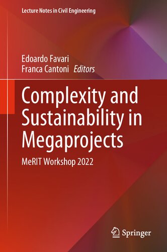 Complexity and Sustainability in Megaprojects: MeRIT Workshop 2022
