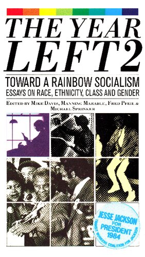 The Year Left, Vol. 2: Towards a Rainbow Socialism- Essays on Race, Ethnicity, Class and Gender