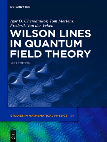 Wilson Lines in Quantum Field Theory