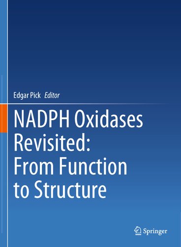 NADPH Oxidases Revisited: From Function to Structure