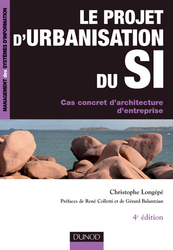 Le projet d'urbanisation du SI
