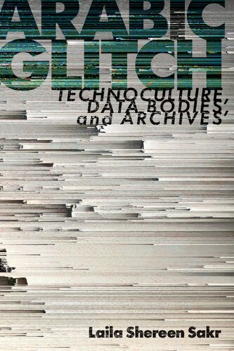 Arabic Glitch: Technoculture, Data Bodies, and Archives