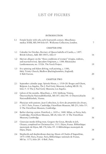 A Cultural History of Work in the Medieval Age Volume 2