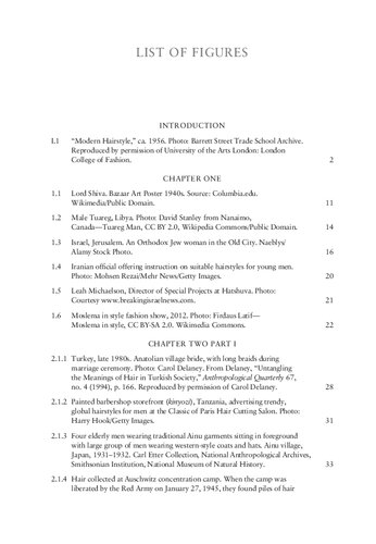 A Cultural History of Hair in the Modern Age Volume 6