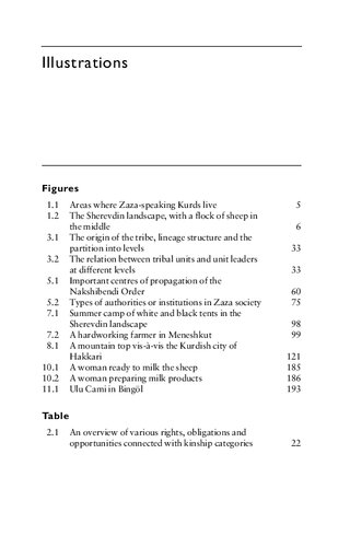 The Zaza Kurds of Turkey: A Middle Eastern Minority in a Globalised Society