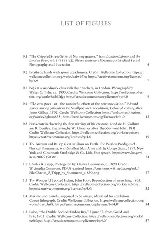 A Cultural History of Disability in the Long Nineteenth Century