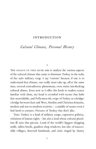 The New Cultural Climate in Turkey: Living in a Shop Window