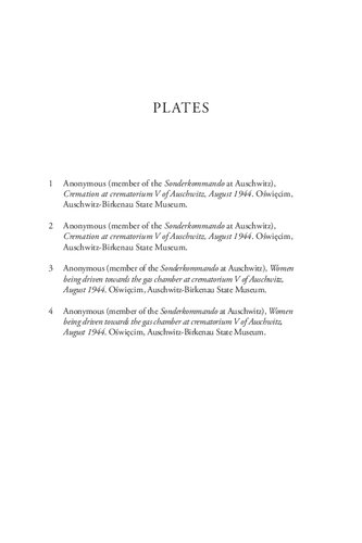 Auschwitz and Afterimages: Abjection, Witnessing and Representation