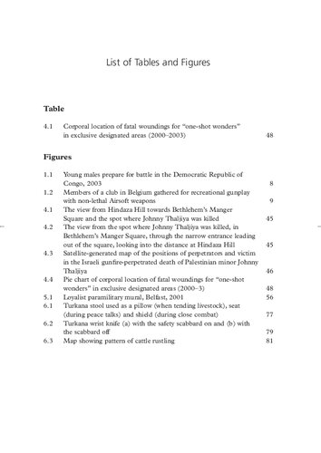 Open Fire: Understanding Global Gun Cultures