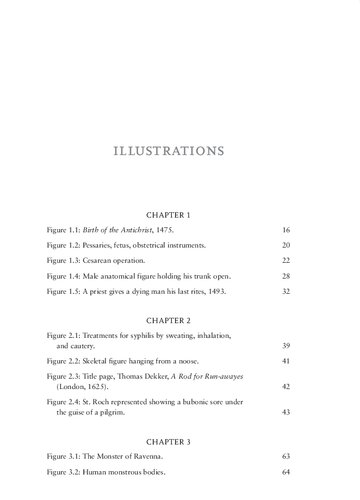 A Cultural History of the Human Body in the Renaissance