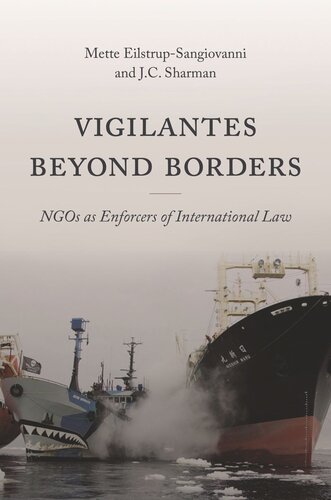 Vigilantes beyond Borders: NGOs as Enforcers of International Law