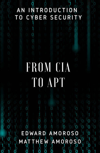 From CIA to APT: An Introduction to Cyber Security