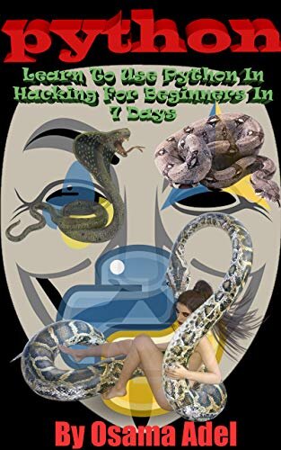 python programming: Learn To Use Python In Hacking For Beginners In 7 Days