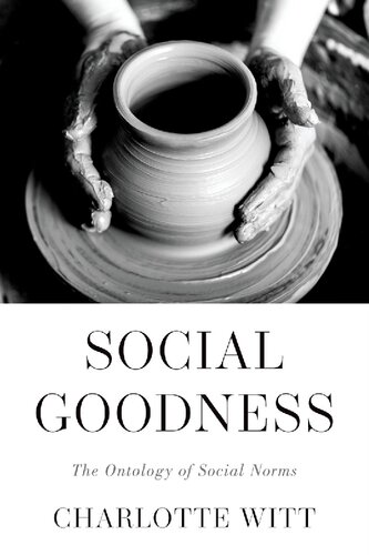 Social Goodness: The Ontology of Social Norms