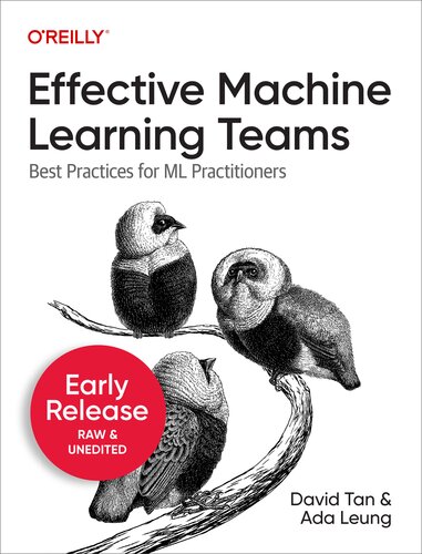Effective Machine Learning Teams