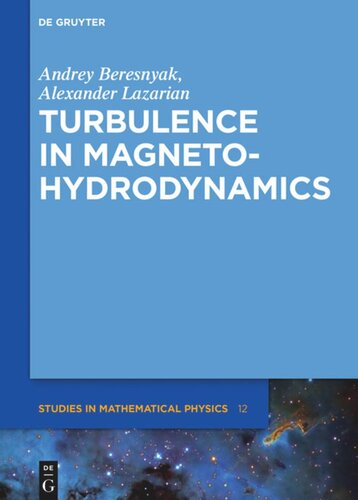 Turbulence in Magnetohydrodynamics