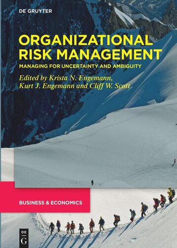 Developments in Managing and Exploiting Risk. Volume III Organizational Risk Management: Managing for Uncertainty and Ambiguity