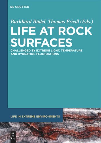 Life at Rock Surfaces: Challenged by Extreme Light, Temperature and Hydration Fluctuations