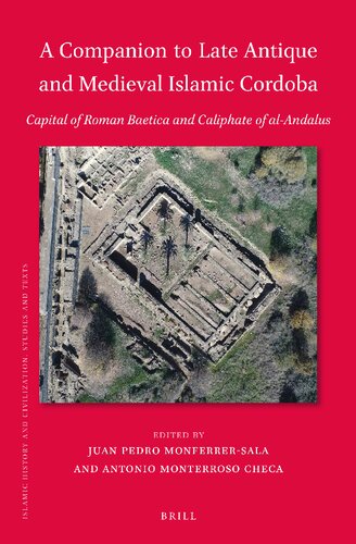 A Companion to Late Antique and Medieval Islamic Cordoba: Capital of Roman Baetica and Caliphate of Al-andalus (Islamic History and Civilization, 195)