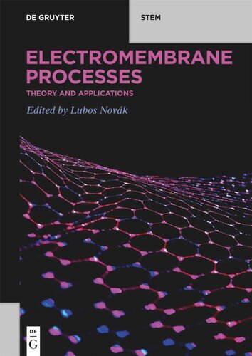Electromembrane Processes: Theory and Applications