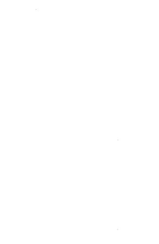 Die absolute Reflexion: Schriften aus dem Nachlass