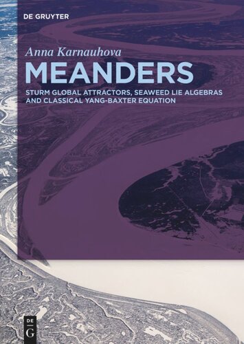 Meanders: Sturm Global Attractors, Seaweed Lie Algebras and Classical Yang-Baxter Equation