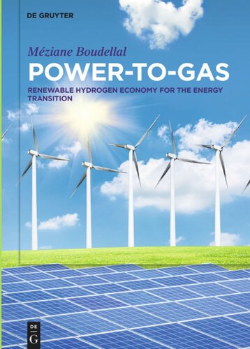 Power-to-Gas: Renewable Hydrogen Economy for the Energy Transition