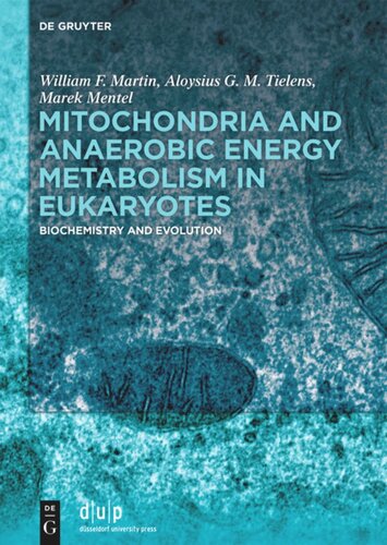 Mitochondria and Anaerobic Energy Metabolism in Eukaryotes: Biochemistry and Evolution