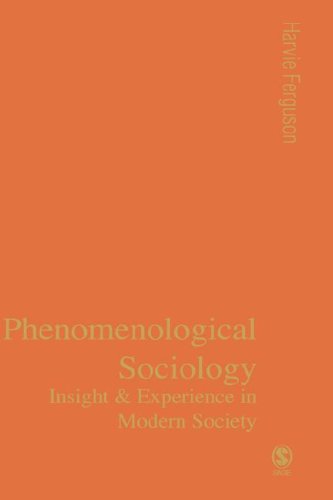 Phenomenological Sociology: Experience and Insight in Modern Society