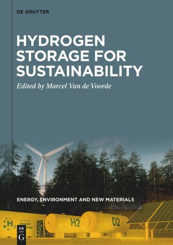 Energy, Environment and New Materials: Volume 2 Hydrogen Storage for Sustainability