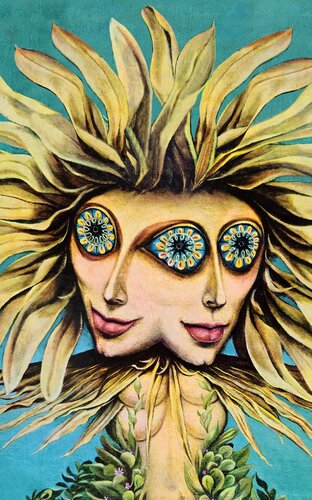 The Psychedelic Digest