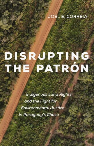 Disrupting the Patraon: Indigenous Land Rights and the Fight for Environmental Justice in Paraguay's Chaco