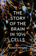 The Story of the Brain in 101⁄2 Cells