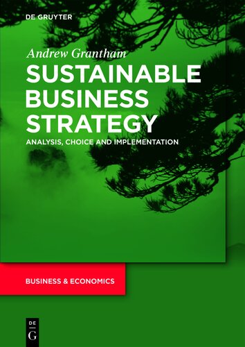 Sustainable Business Strategy: Analysis, Choice and Implementation