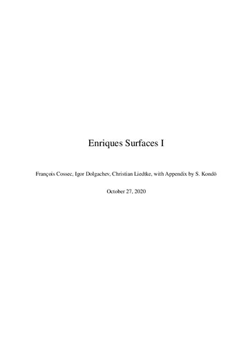 Enriques Surfaces I