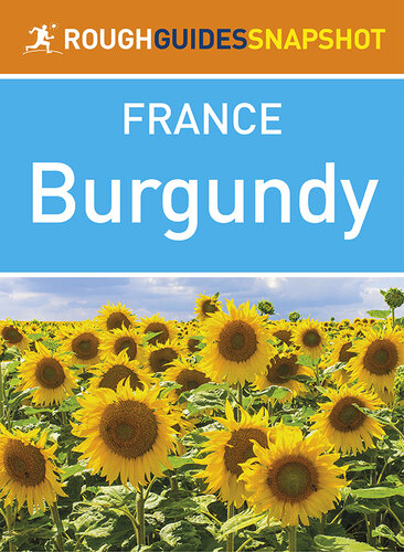 The Rough Guide Snapshot France - Burgundy