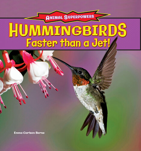 Hummingbirds: Faster Than a Jet!