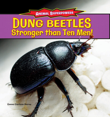 Dung Beetles: Stronger Than Ten Men!