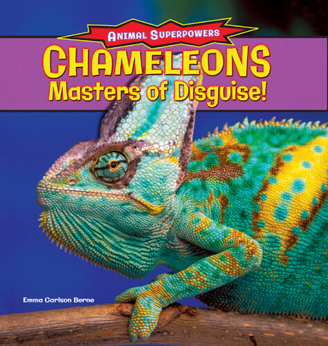 Chameleons: Masters of Disguise!