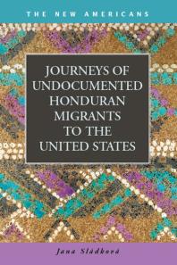 Journeys of Undocumented Honduran Migrants to the United States