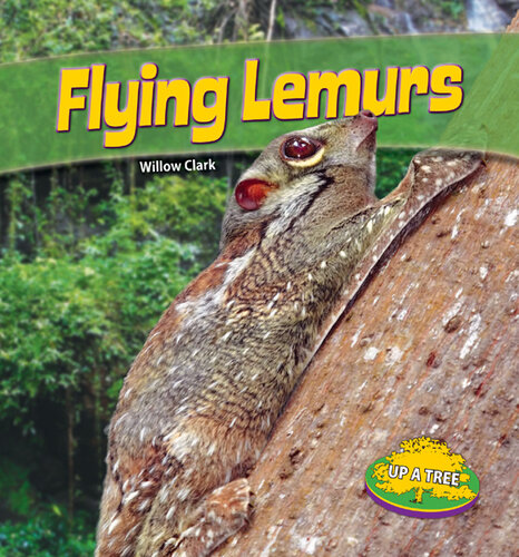 Flying Lemurs