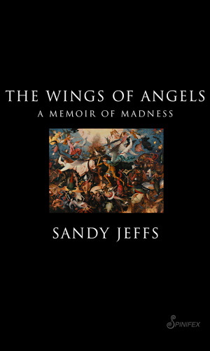 The Wings of Angels: A Memoir of Madness