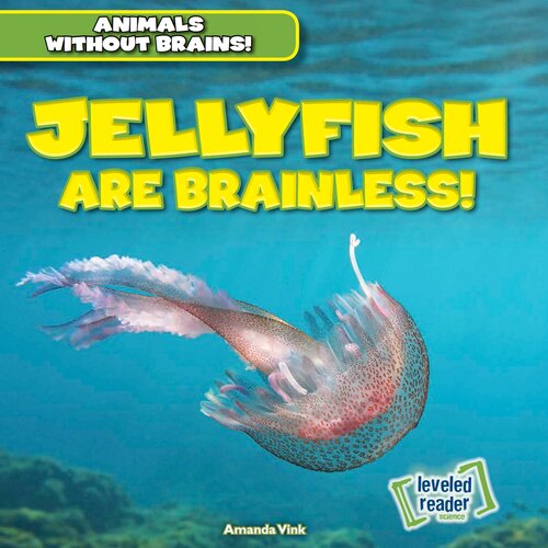 Jellyfish Are Brainless!