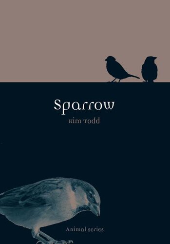 Sparrow