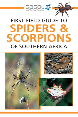 First Field Guide to Spiders & Scorpions of Southern Africa