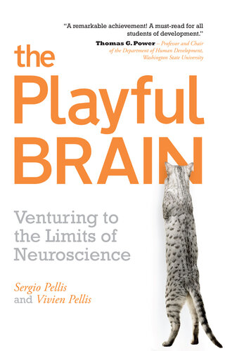 The Playful Brain: Venturing to the Limits of Neuroscience